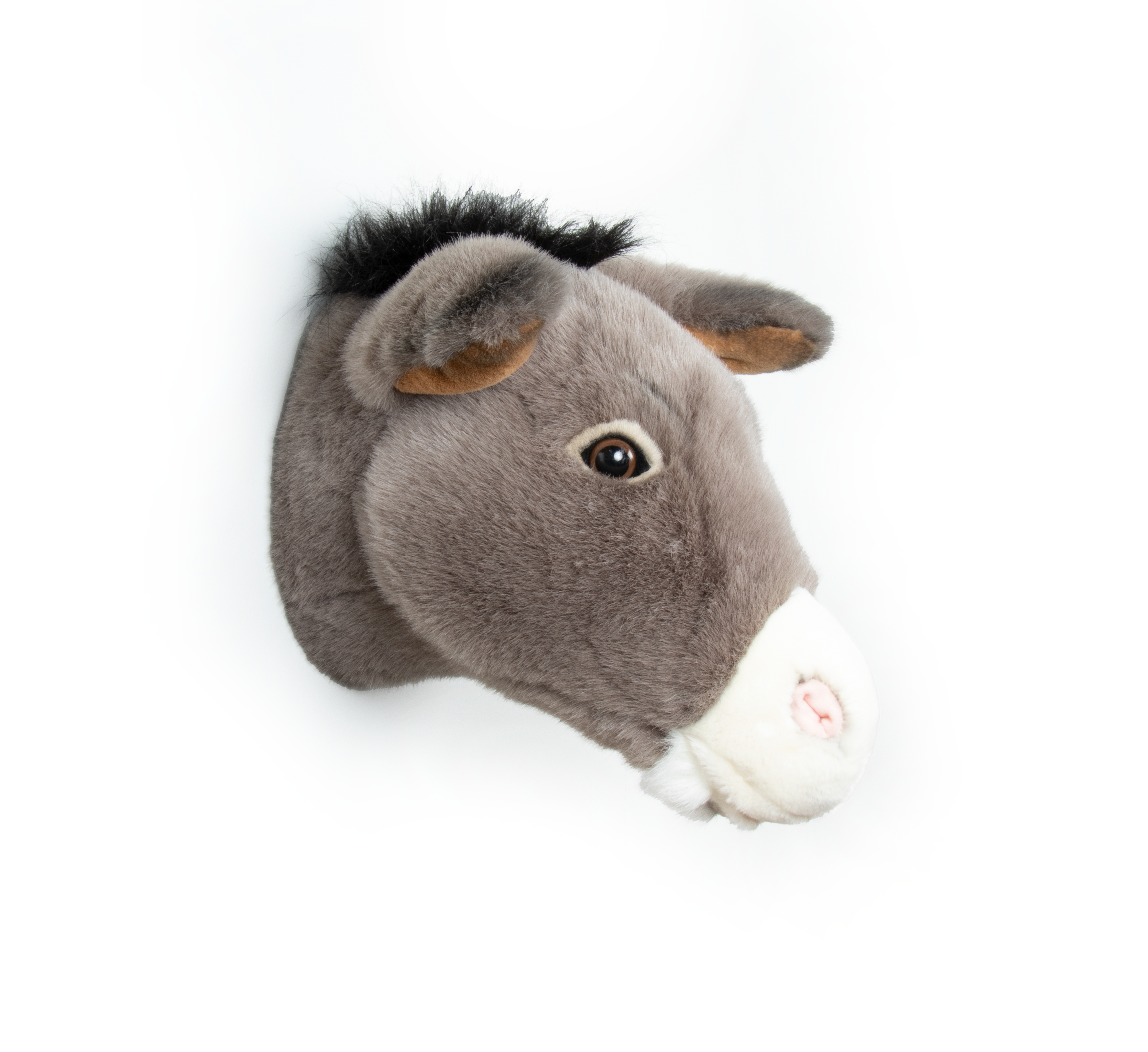Tierkopf Wand Kinder Wild and Soft Esel