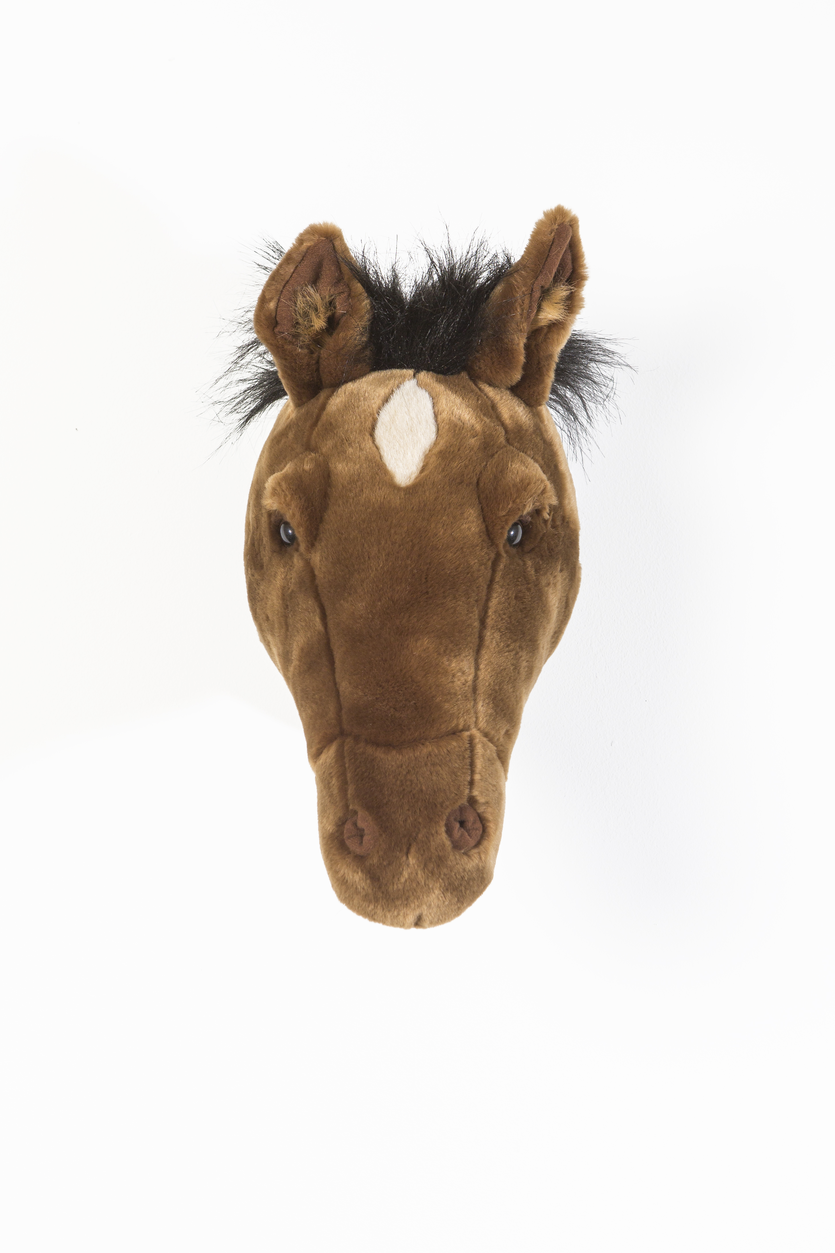 Tierkopf Wand Kinder Wild and Soft Pferd