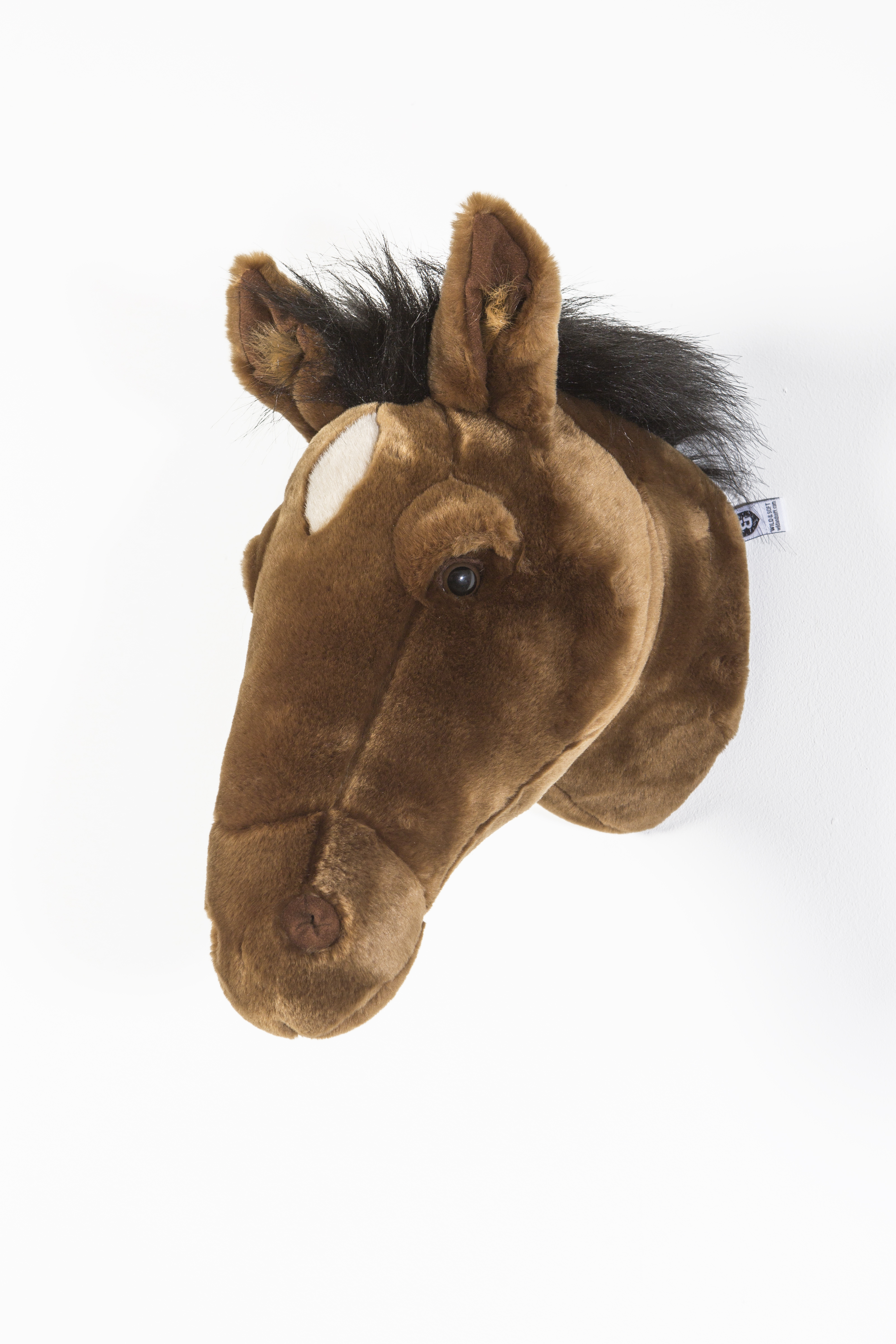 Tierkopf Wand Kinder Wild and Soft Pferd