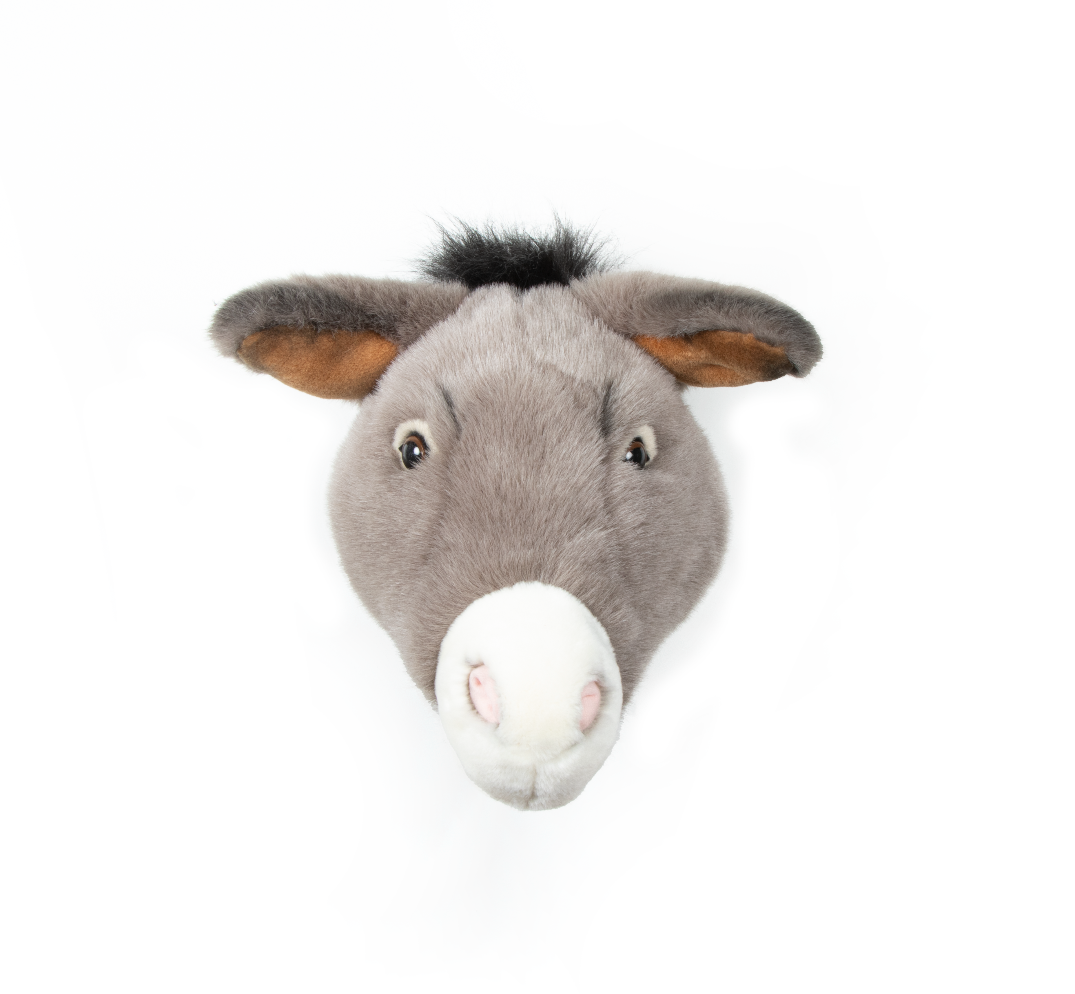 Tierkopf Wand Kinder Wild and Soft Esel