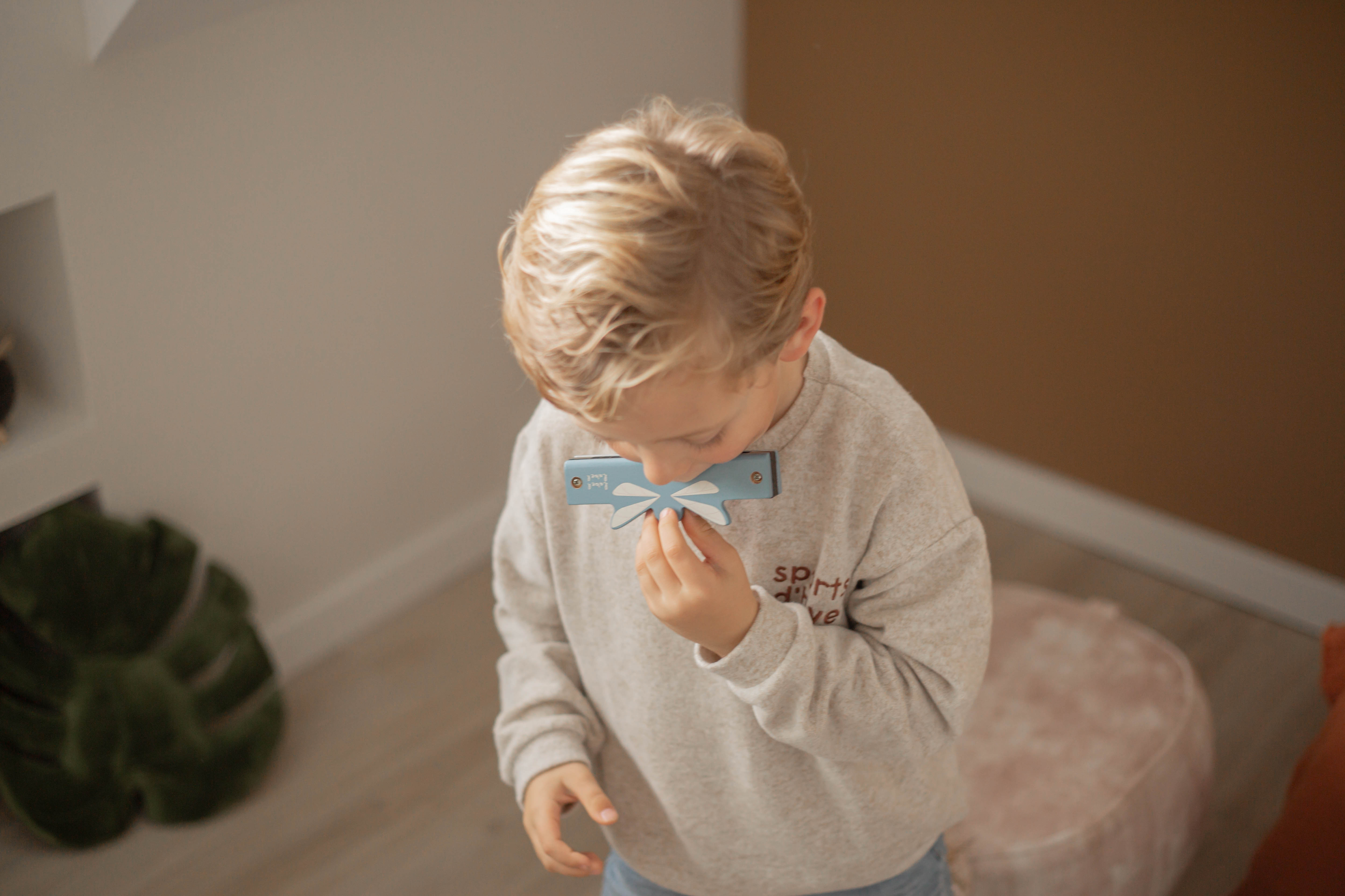 Mundharmonika Holz Kinder Label Label Blau