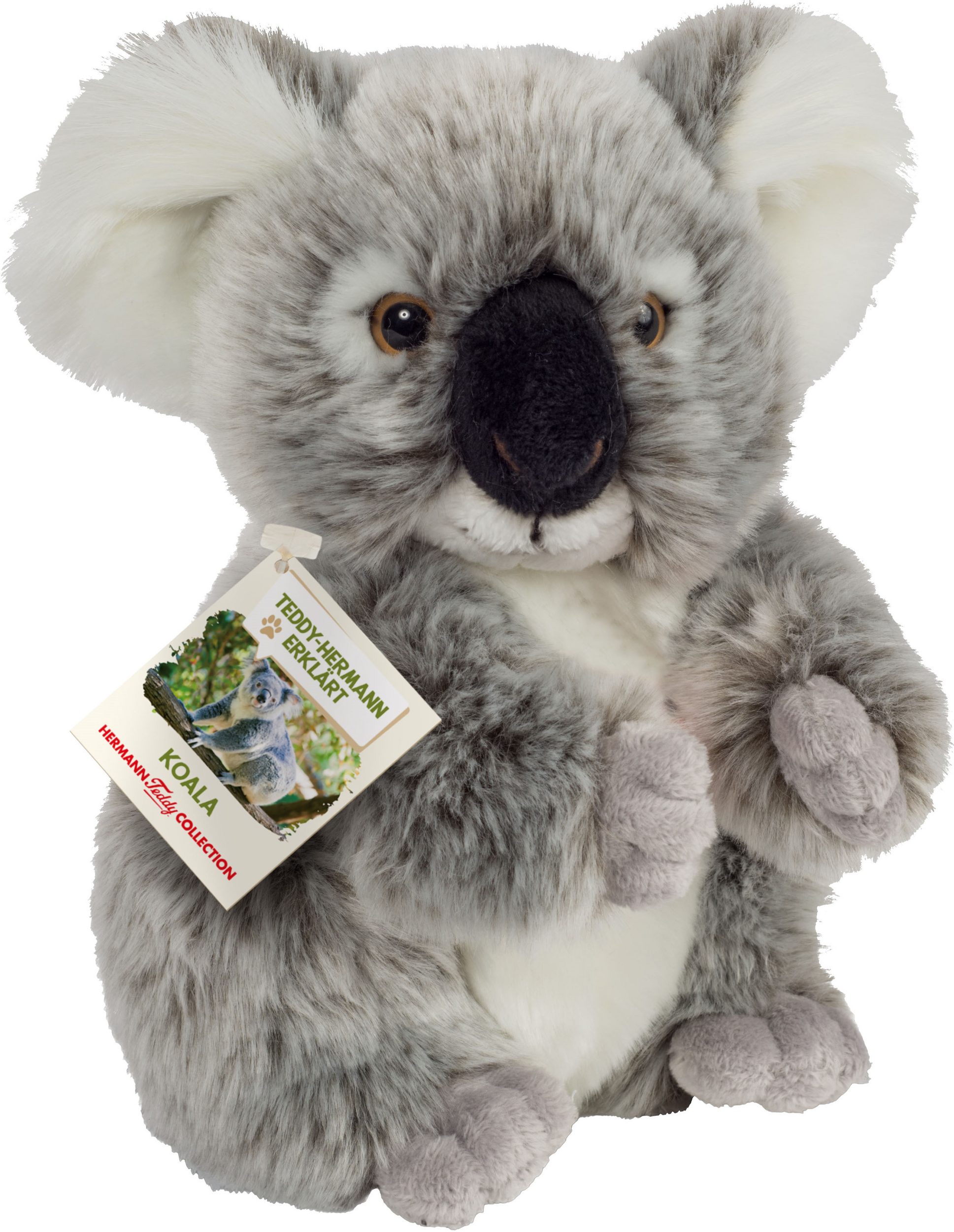 Teddy Hermann Koala