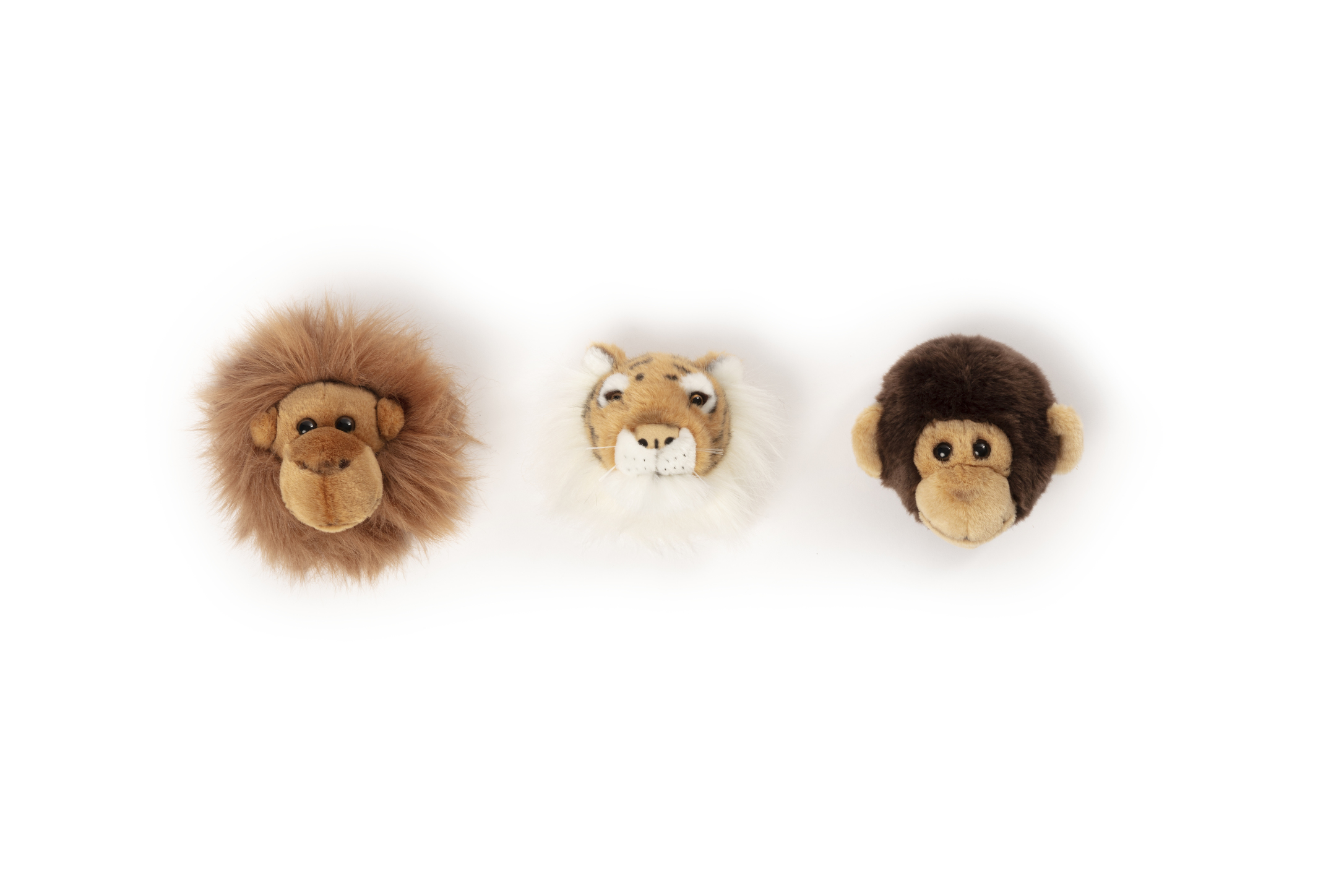 Geschenke Set Tierköpfe Dschungel Wild and Soft