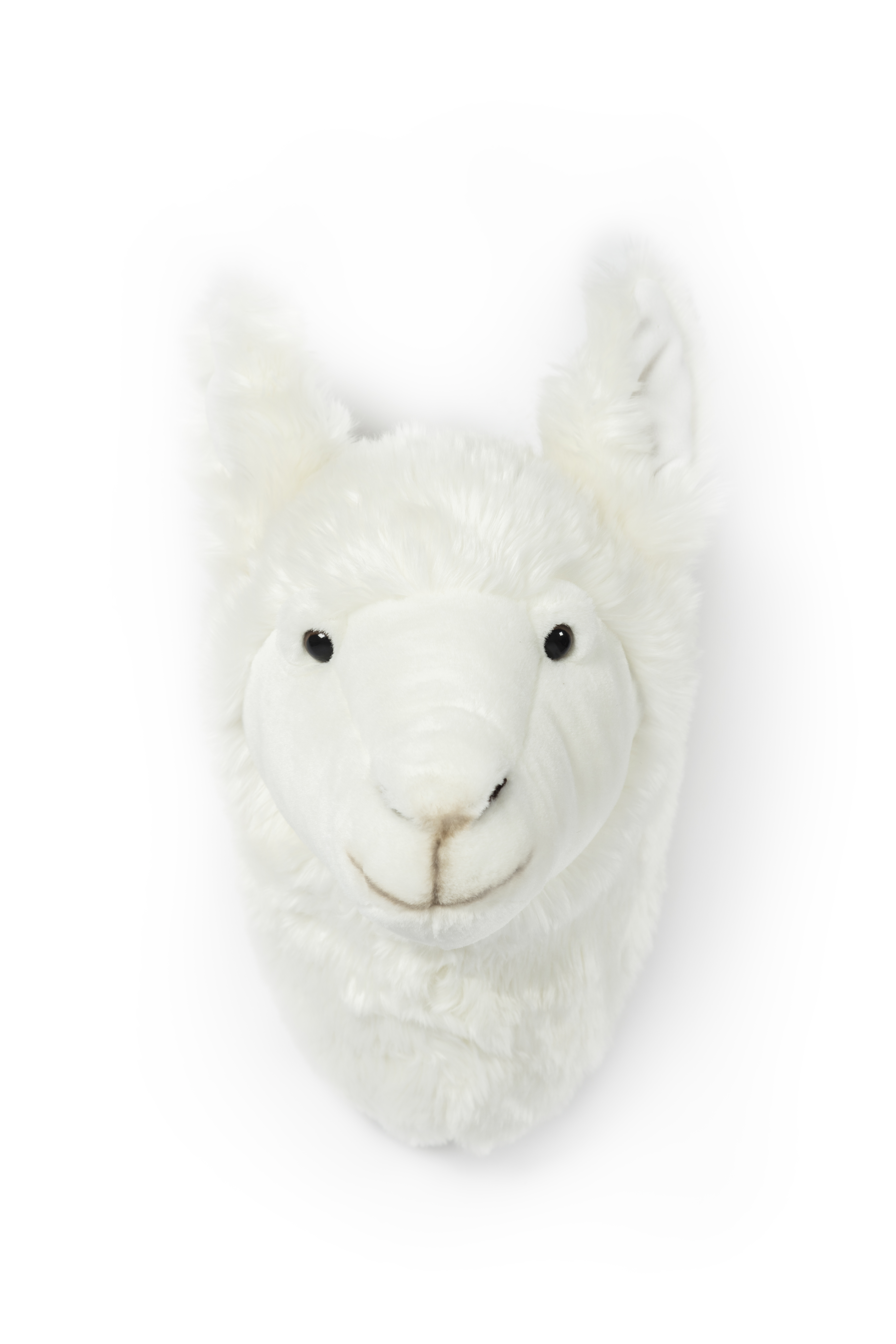 Tierkopf Wand Kinder Wild and Soft Lama