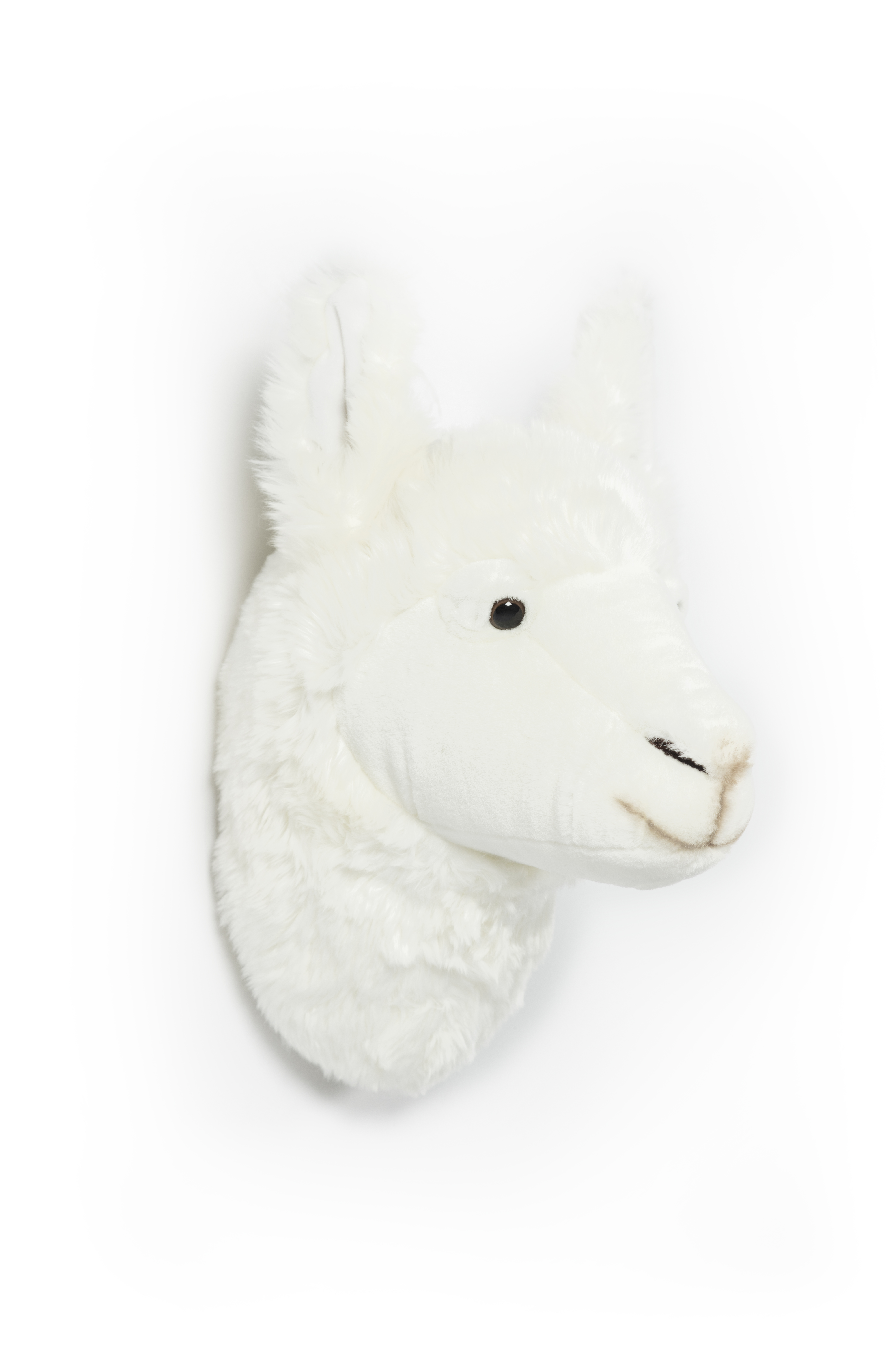 Tierkopf Wand Kinder Wild and Soft Lama